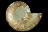Cut & Polished Ammonite Fossil (Half) - Madagascar #166822-1